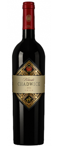 Viñedo Chadwick 2016 - VINEUT