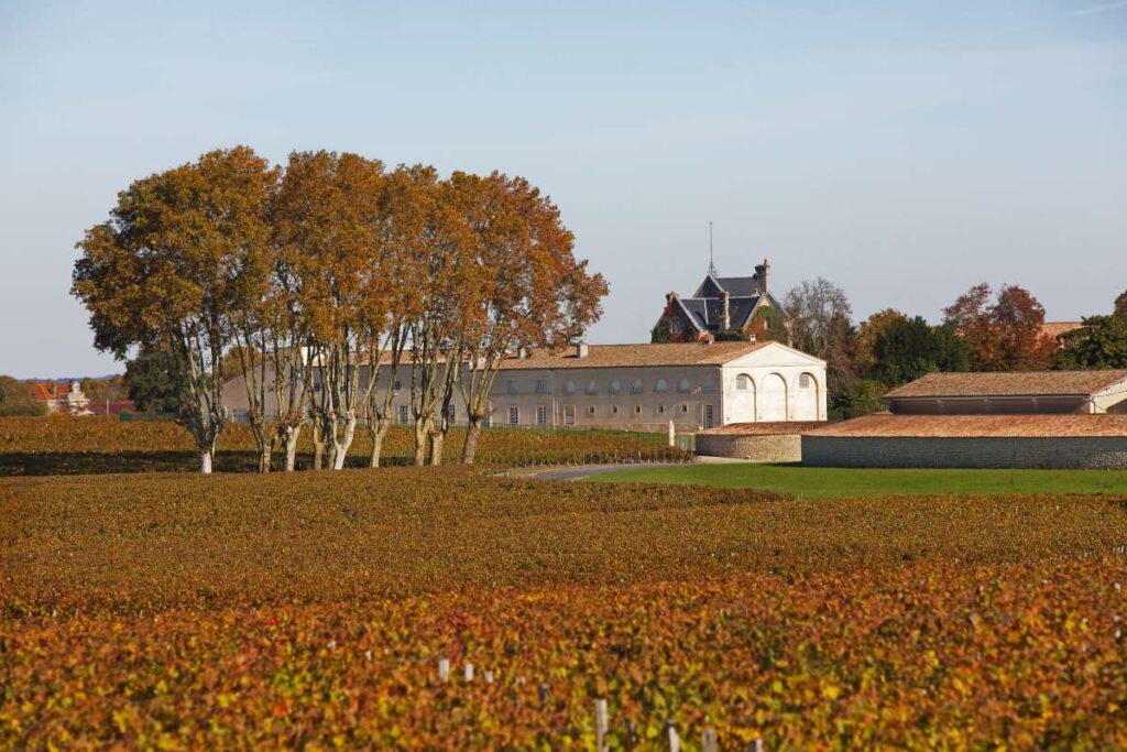 Vigneto Mouton Rothschild