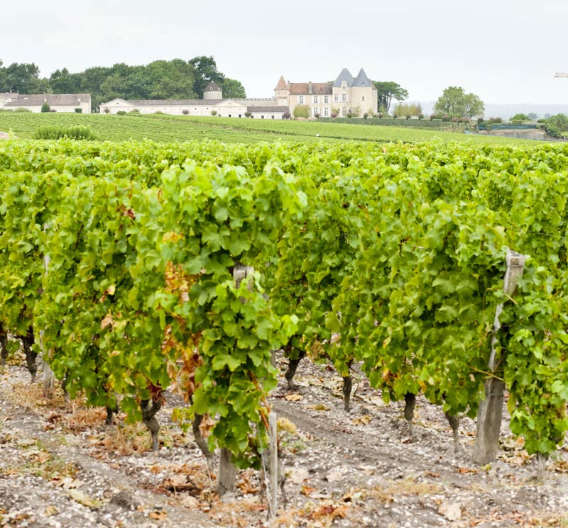 Terroir D'Yquem